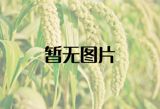 祝贺蒙清创客负责人许占祥获评 “全国乡村振兴青年先锋”
